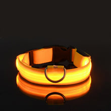 Load image into Gallery viewer, Rechargable Dog LED Flashing Collar