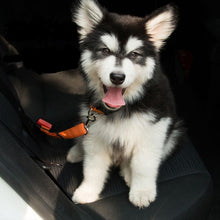 Load image into Gallery viewer, Pets Car Seat Belt Adjustable Harness