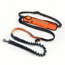 Load image into Gallery viewer, Handsfree Bungee Dog Leash