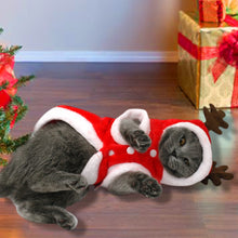 Load image into Gallery viewer, Christmas Cat Clothes Small Dogs Cats Santa Costume