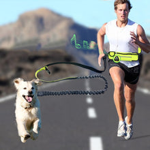 Load image into Gallery viewer, Handsfree Bungee Dog Leash