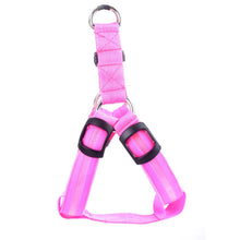 Load image into Gallery viewer, Nylon Pet Safety LED Harness