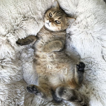 Load image into Gallery viewer, Super Soft Pet Bed Kennel