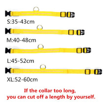 Load image into Gallery viewer, Rechargable Dog LED Flashing Collar