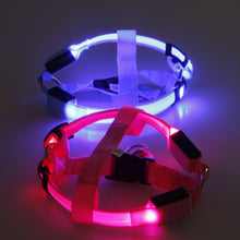 Load image into Gallery viewer, Nylon Pet Safety LED Harness
