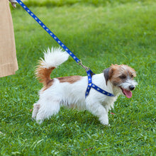 Load image into Gallery viewer, Paw Print Small &amp; Medium Dog Harness