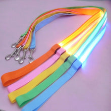 Load image into Gallery viewer, Glow In Dark Dog Leash