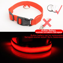 Load image into Gallery viewer, USB Charging Led Dog Collar Anti-Lost/Avoid Car Accident Collar