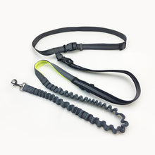 Load image into Gallery viewer, Handsfree Bungee Dog Leash
