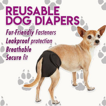 Load image into Gallery viewer, PetMate Reusable Dog Diaper