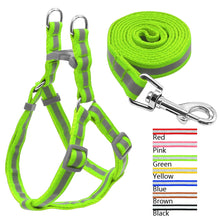 Load image into Gallery viewer, Dog Leash Set