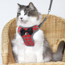 Load image into Gallery viewer, Vest Harness With Bowknot Mesh Padded