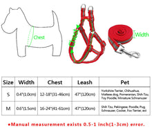 Load image into Gallery viewer, Dog Leash Set