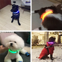 Load image into Gallery viewer, Rechargable Dog LED Flashing Collar