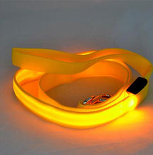 Load image into Gallery viewer, Glow In Dark Dog Leash