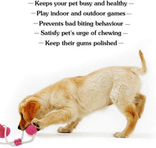 Load image into Gallery viewer, Suction cup dog push toy Interactive fun Pet toy with TPR ball