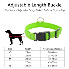 Load image into Gallery viewer, USB Charging Led Dog Collar Anti-Lost/Avoid Car Accident Collar