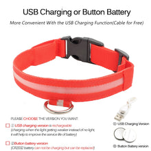 Load image into Gallery viewer, USB Charging Led Dog Collar Anti-Lost/Avoid Car Accident Collar