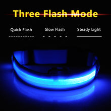 Load image into Gallery viewer, USB Charging Led Dog Collar Anti-Lost/Avoid Car Accident Collar