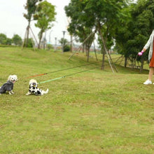 Load image into Gallery viewer, Dog Collars - 2 In 1 Dog Leash