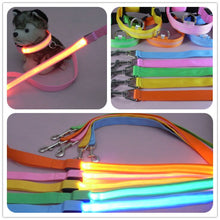 Load image into Gallery viewer, Glow In Dark Dog Leash
