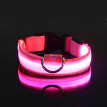 Load image into Gallery viewer, Rechargable Dog LED Flashing Collar