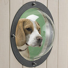 Load image into Gallery viewer, Pet Peek