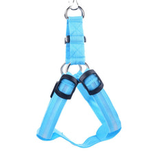Load image into Gallery viewer, Nylon Pet Safety LED Harness