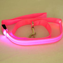 Load image into Gallery viewer, Glow In Dark Dog Leash