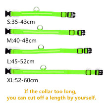 Load image into Gallery viewer, Rechargable Dog LED Flashing Collar