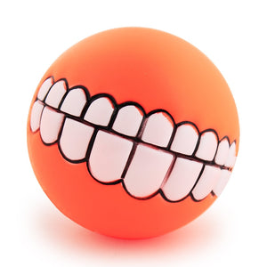 Funny Teeth Dog or Cat Chew Toy