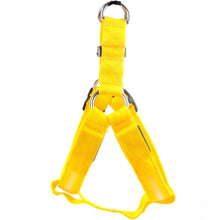Load image into Gallery viewer, Nylon Pet Safety LED Harness