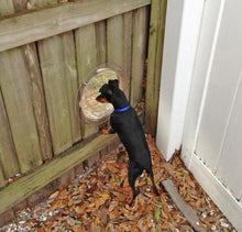 Load image into Gallery viewer, Pet Peek
