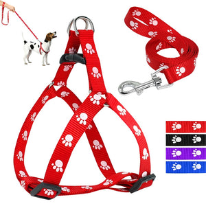 Paw Print Small & Medium Dog Harness