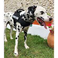 Load image into Gallery viewer, K9 Reflective Harness Adjustable Nylon Collar Vest
