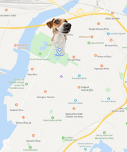 Load image into Gallery viewer, GPS Cat Collar