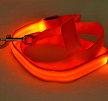 Load image into Gallery viewer, Glow In Dark Dog Leash
