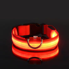 Load image into Gallery viewer, Rechargable Dog LED Flashing Collar