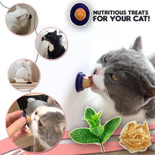 Load image into Gallery viewer, Cat Candy Treat