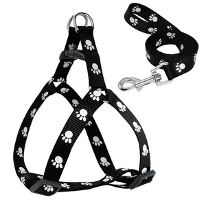 Paw Print Small & Medium Dog Harness