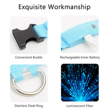 Load image into Gallery viewer, USB Charging Led Dog Collar Anti-Lost/Avoid Car Accident Collar