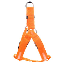 Load image into Gallery viewer, Nylon Pet Safety LED Harness